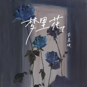 国产高清舔逼视频
