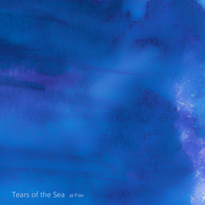 国产高清舔逼视频
